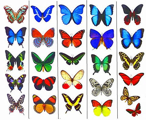 Colorful Temporary Butterfly Tattoos - 5 Sheets - by Butterfly Utopia