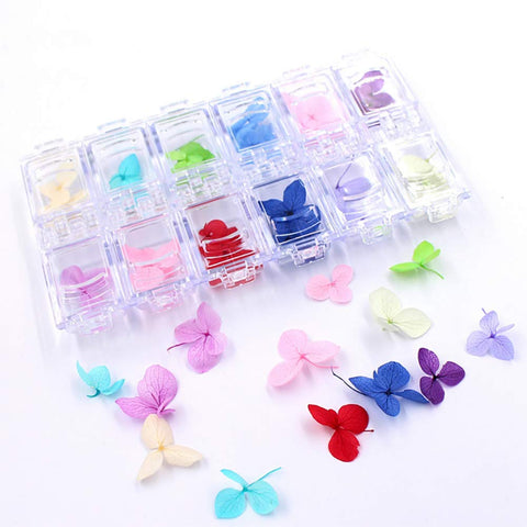 Minejin Nail Art Dried Flowers 3D Design Natural Real Dry Flower Sticker Tips Accessories 12 Colors