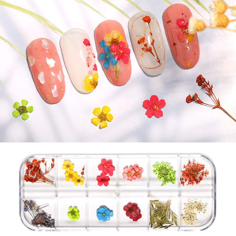 AKOAK 12pcs Dry Flower 3D Nail Stickers, Flower Leaves/Plants/Daffodils/Eternal Flowers, Professional Nail Sticker Accessories, Nail Sticker Setï¼ˆ12 Colorsï¼‰ (C)