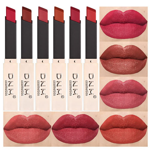 evpct DNM 6Pcs Red Silky Velvet Matte Lipstick Set for Women Permanent Long Lasting 24 Hours Color Stay Maroon Lipstick Waterproof labiales matte larga duracion 24 mate 24 horas originales lip crayon